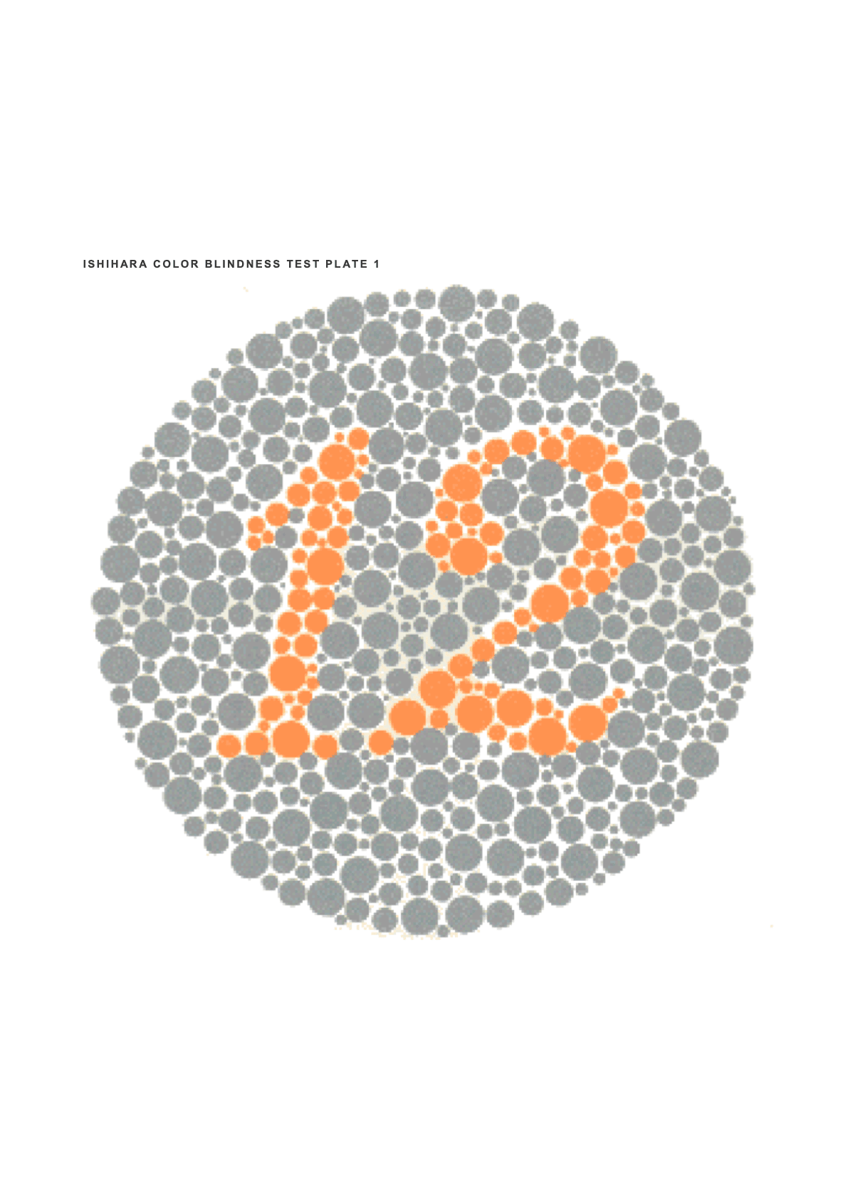 Ishihara color test plate 1